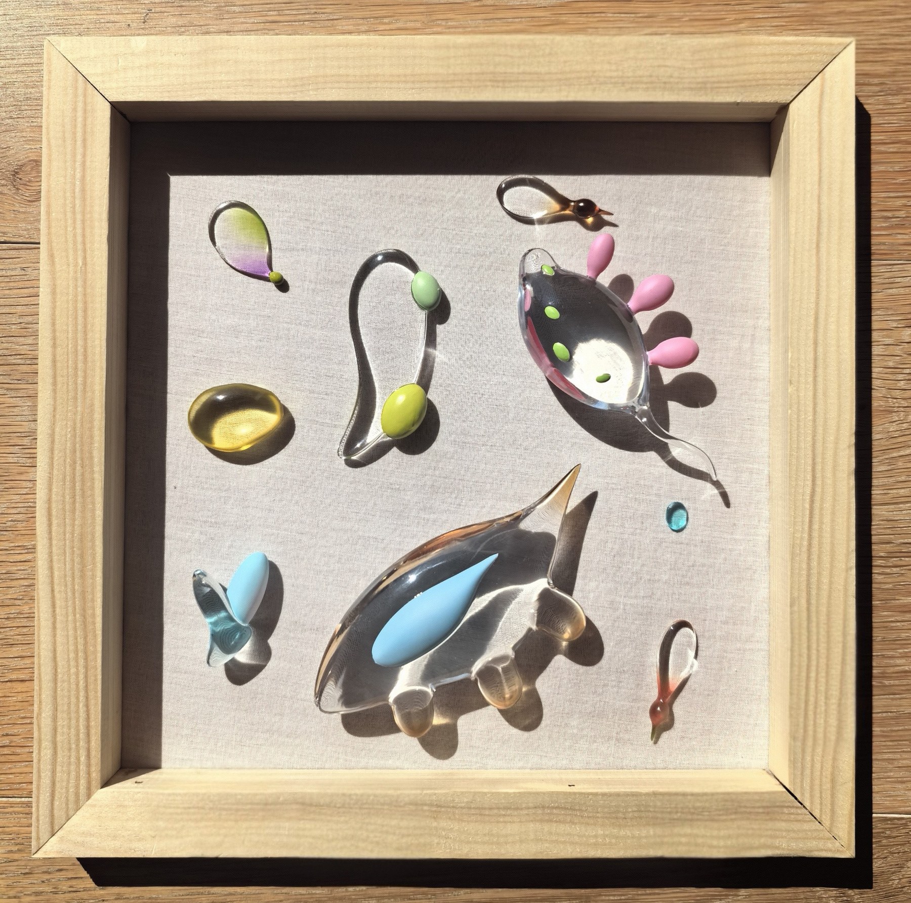 Transparent sculptural forms with coloured details arranged in a shallow wooden frame under sunlight.